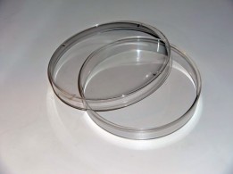Чашка ПЕТРИ 60*15 Thermo Scientific Nunc