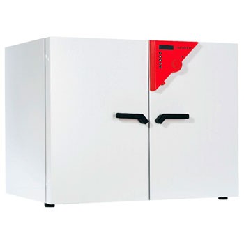 Термостат BD 240 Binder