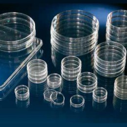 Чашка с поверхностью Nunclon 135 мл Thermo Scientific Nunc