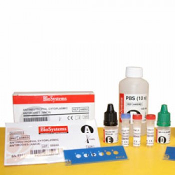 Антитела к цитруллиновым белкам BioSystems